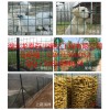 武汉养殖护栏网生产工艺