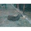 厂家供应荷兰网 波浪网  铁丝网围栏 绿色防护网 圈鸡网