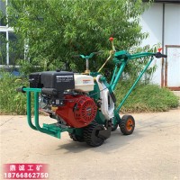 广西南宁300型天然草坪起草机 自行式汽油台湾草草坪移植机