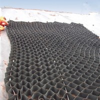 常州加固鱼塘用格构护坡蜂巢约束系统土工格室
