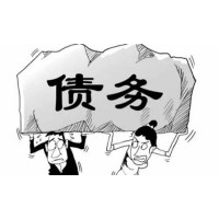 苏州债务纠纷律师免费咨询-江苏庖丁律师事务所