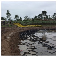 河北山体防护坡蜂巢土工格室|焊接植草蜂巢约束系统|厂家