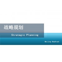 编制企业战略规划-北京天创达
