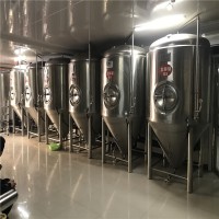 1000升啤酒发酵罐 酿造精酿啤酒的设备价格