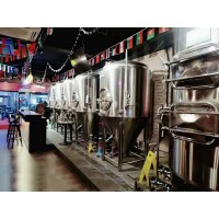 500升烧烤餐饮精酿啤酒设备 酿造啤酒的设备河北啤酒设备厂家