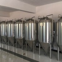 自动化精酿啤酒设备四川啤酒设备 600升精酿啤酒发酵罐