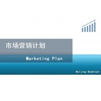 代写市场营销策划方案-北京天创达