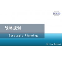编制企业战略规划和发展规划-北京天创达